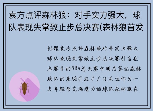 袁方点评森林狼：对手实力强大，球队表现失常致止步总决赛(森林狼首发)