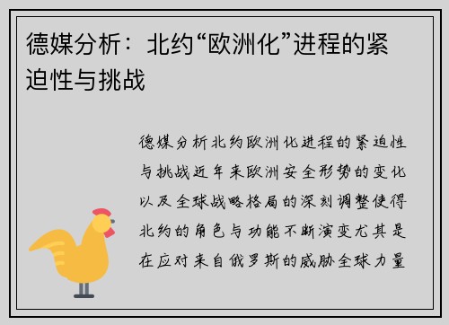 德媒分析：北约“欧洲化”进程的紧迫性与挑战